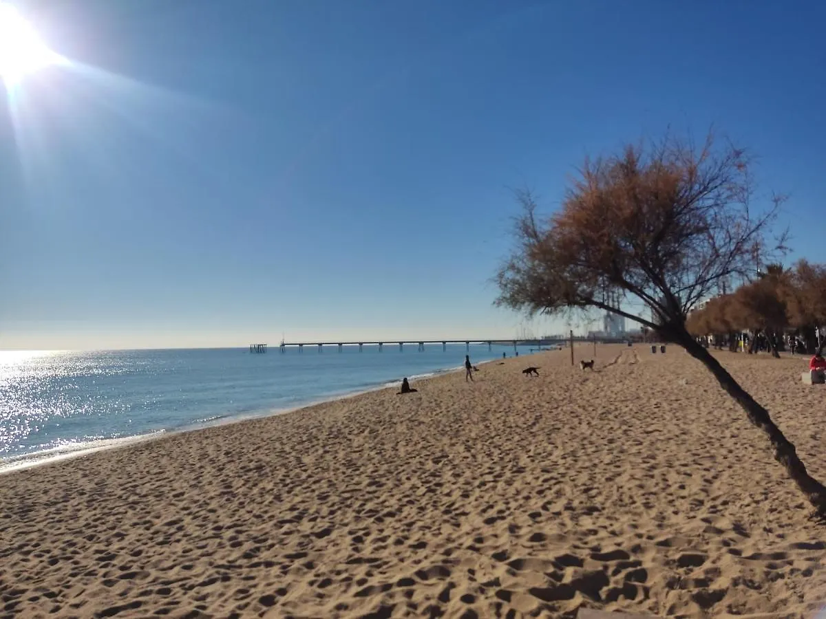 Hospedaje Dado De Baja Badalona España