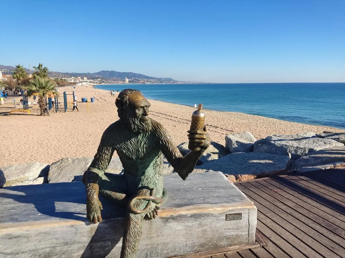 Hospedaje Dado De Baja Badalona 0*,  España