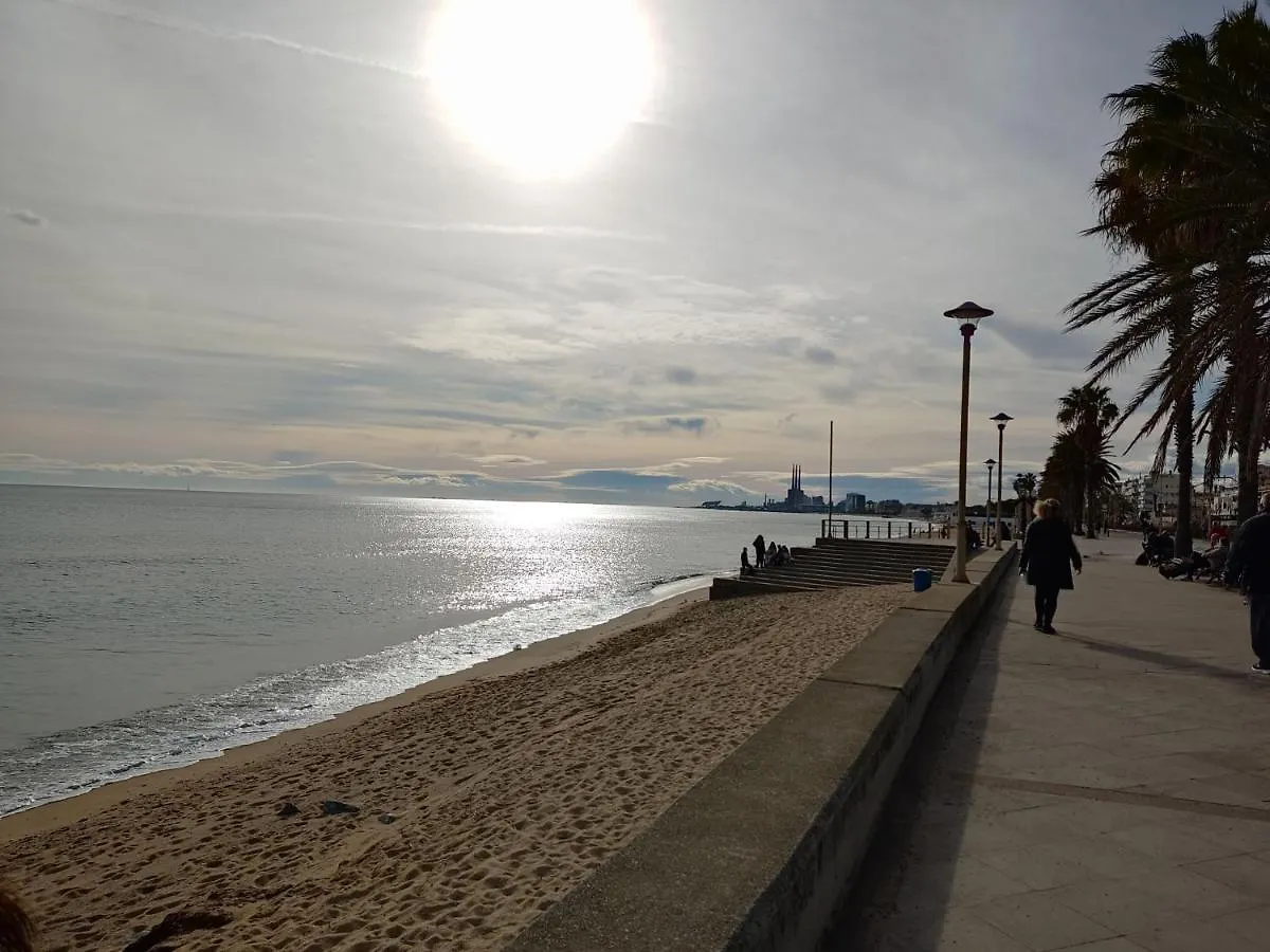 Hospedaje Dado De Baja Badalona 0*,  España